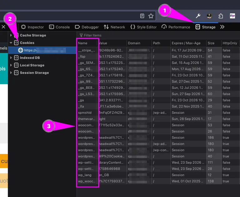 Show website cookies in browser dev tools